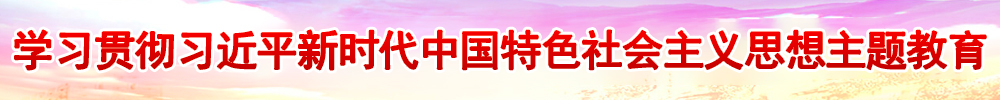 學(xué)習(xí)貫徹習(xí)近平新時(shí)代中國特色社會(huì)主義思想主題教育